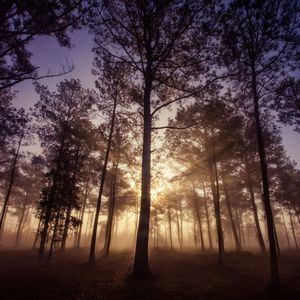 Meet your Posher, Derek